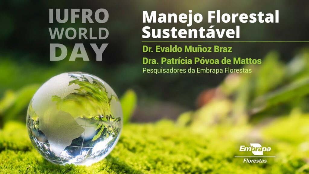 manejo florestal sustentavel sustainable forest management