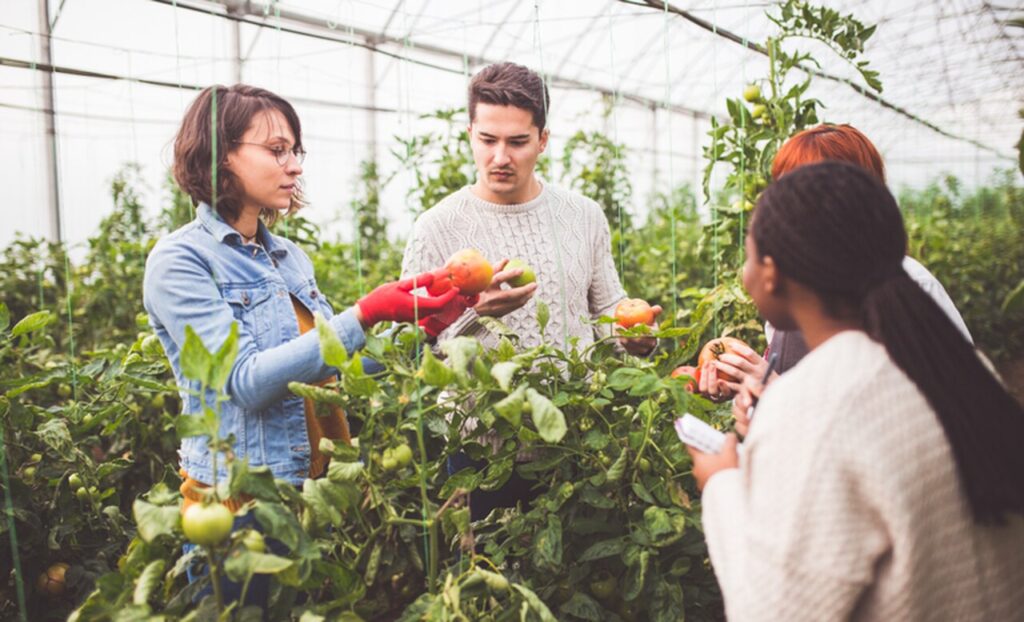 Mapa oferta cursos para impulsionar a inovação e desenvolver conhecimentos agropecuários