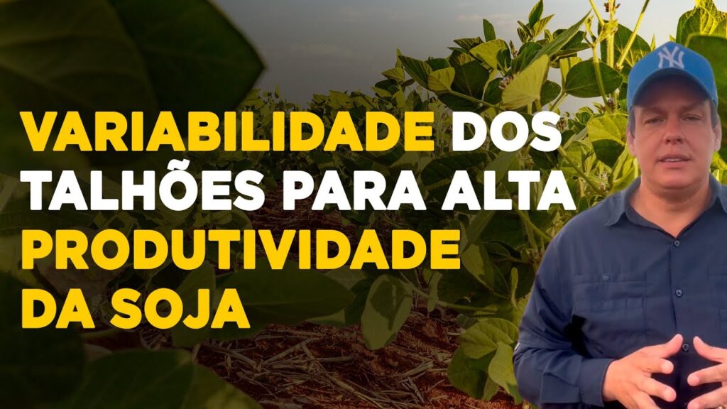 maximizando a produtividade da soja com manejo eficiente