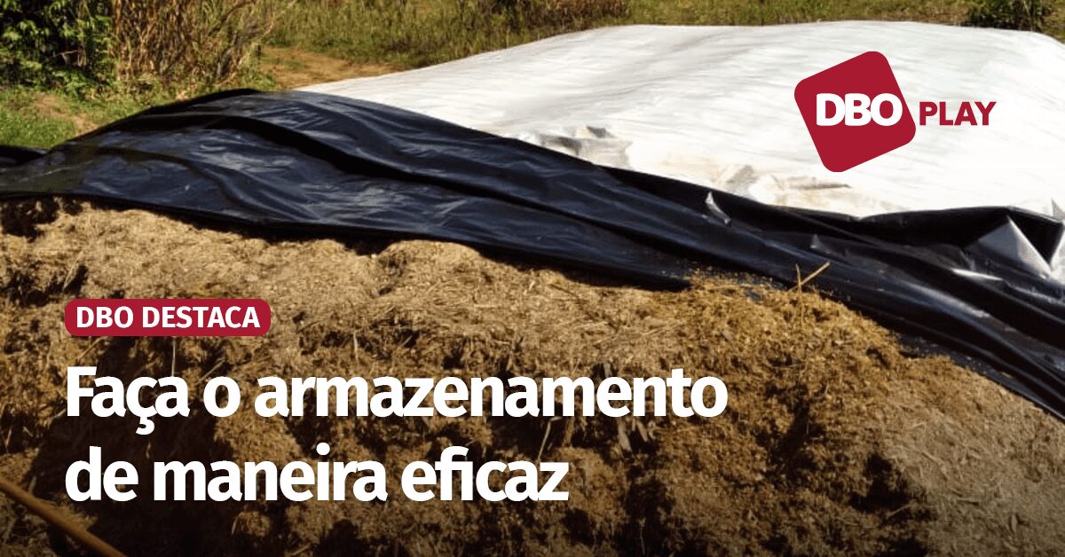 Maximize o uso do Portal DBO