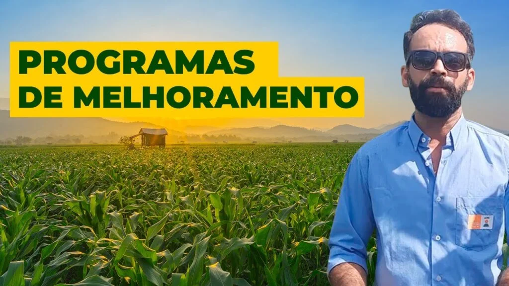 "Melhoramento com Haroldo Silva KWS" - As Nurseries dos Programas 12 melhoramento com haroldo silva kws as nurseries dos programas