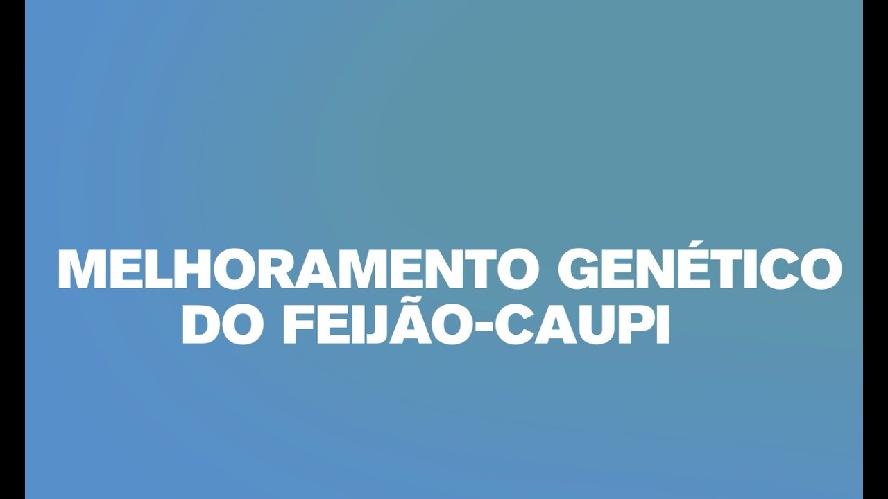 melhoramento genetico do feijao caupi