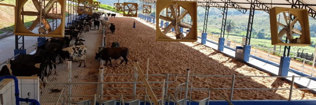 Webinar Gestão eficiente de propriedades leiteiras