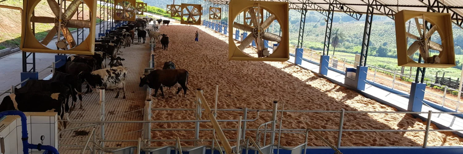 Melhorando a gestão de fazendas leiteiras: dicas práticas 48 Webinar Gestão eficiente de propriedades leiteiras