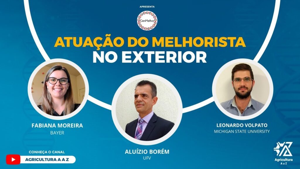 melhorista impacto no exterior