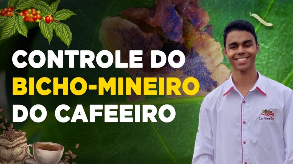 metodos para controle do bicho mineiro no cafe helder sena