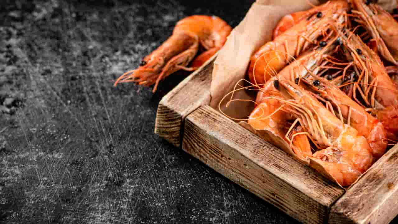 Ministério da Pesca: defeso de camarão.