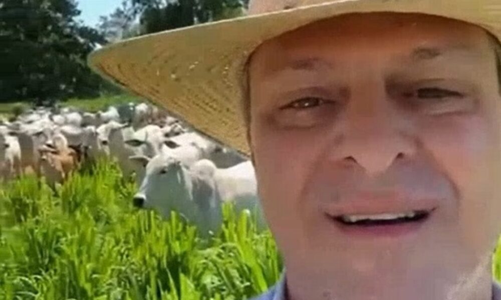 Ministro da Agricultura faz vídeo exaltando a pecuária brasileira - O Documento