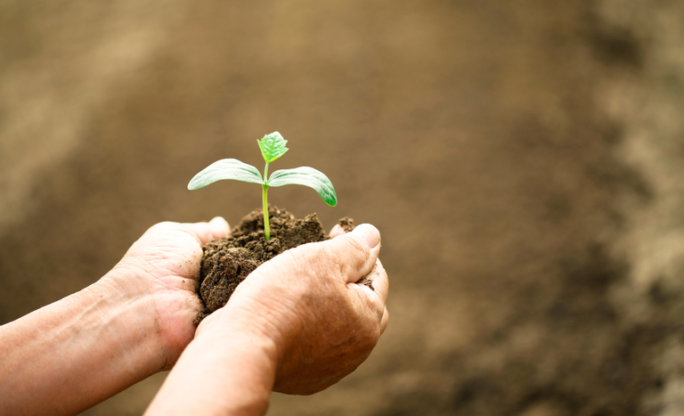 ministro favaro aperfeicoa seguro rural ministerio da agricultura 1