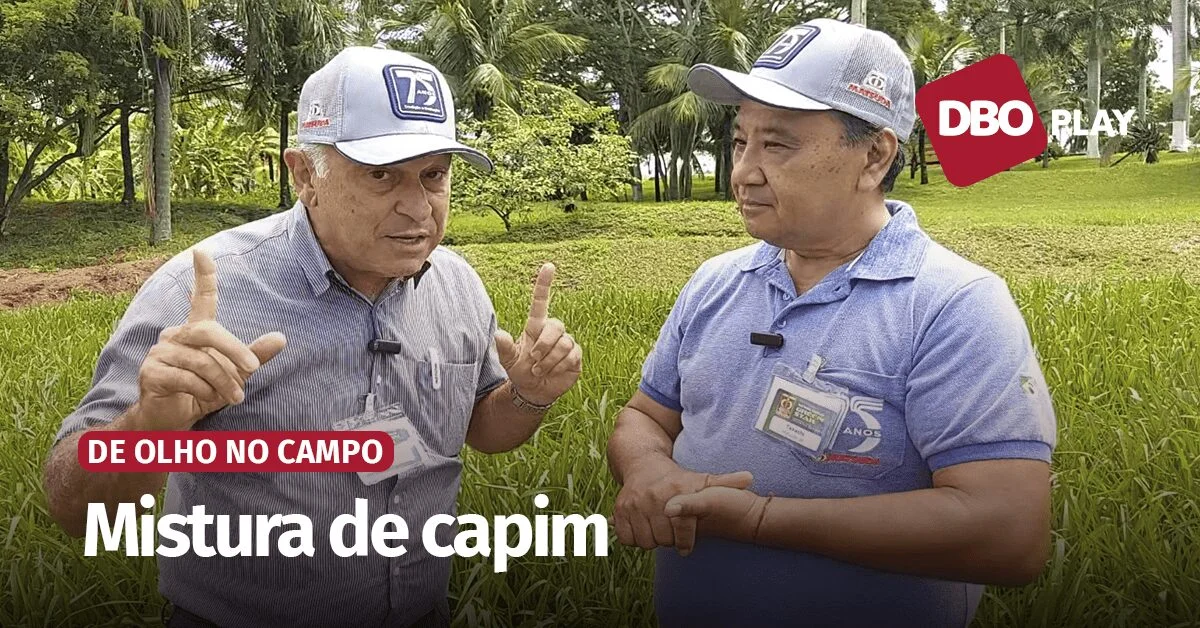 Mix de cultivares aumenta produção. 4 Mix de cultivares indica maior produção de forragem ao longo do ano • Portal DBO