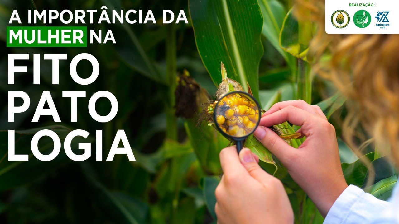 mulheres na fitopatologia importancia e contribuicao