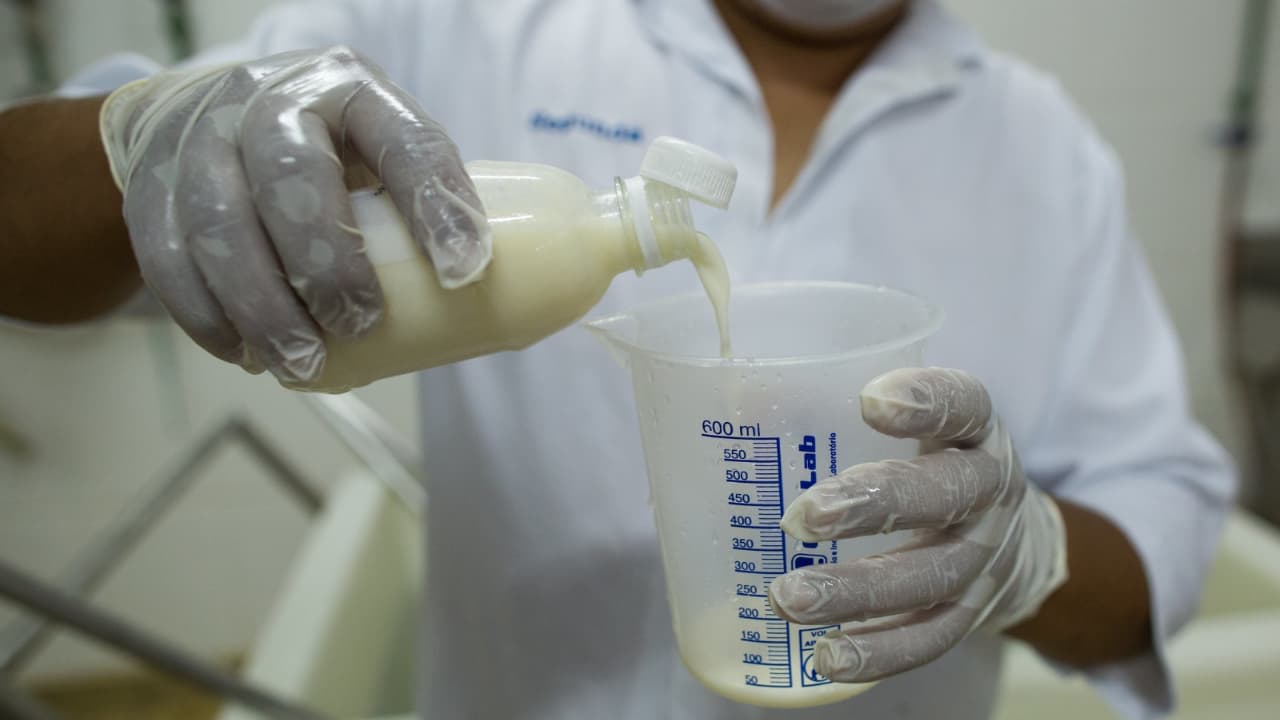 Nova linha de crédito para bovinocultura leiteira