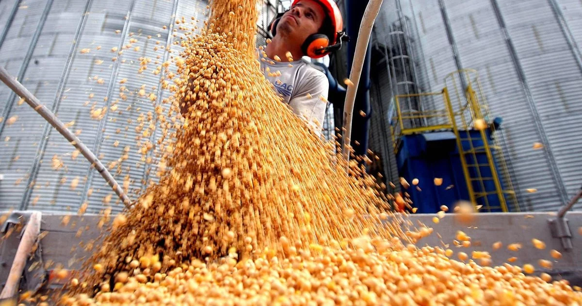 Nova safra de soja pode bater recorde histórico 1 Soja poderá ter novo recorde e responder por metade de toda a produção de grãos do País, diz IBGE