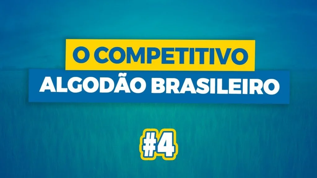 "O Algodão Brasileiro: Competitivo!"
#Shorts 2 o algodao brasileiro competitivoshorts