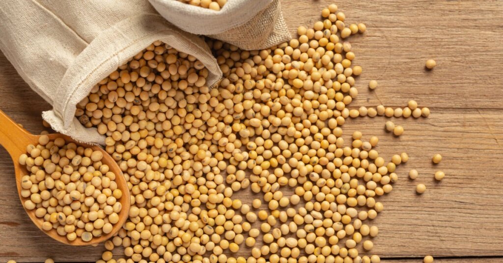 Comercialização da soja mantém ritmo moderado