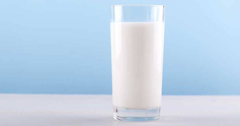 Porque começámos a beber leite de vaca?