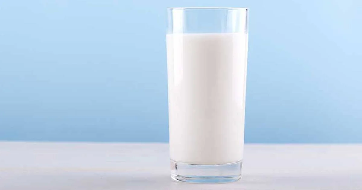 Porque começámos a beber leite de vaca?