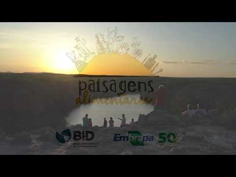 paisagens alimentares