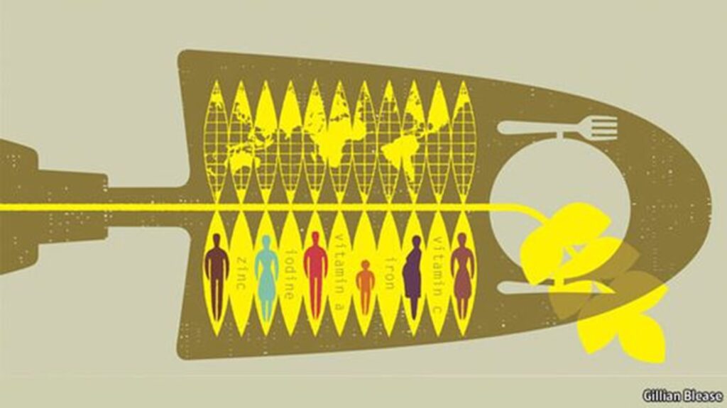 Papel da nutrição em fome crônica