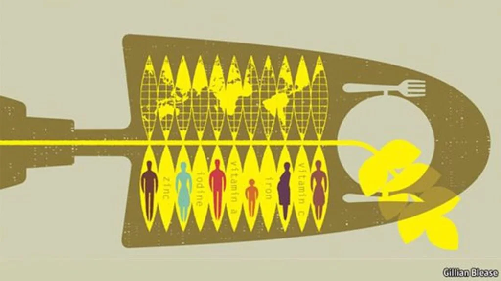 Você está visualizando atualmente O que é fome crônica e fome oculta? E qual o papel da nutrição de plantas neste problema?