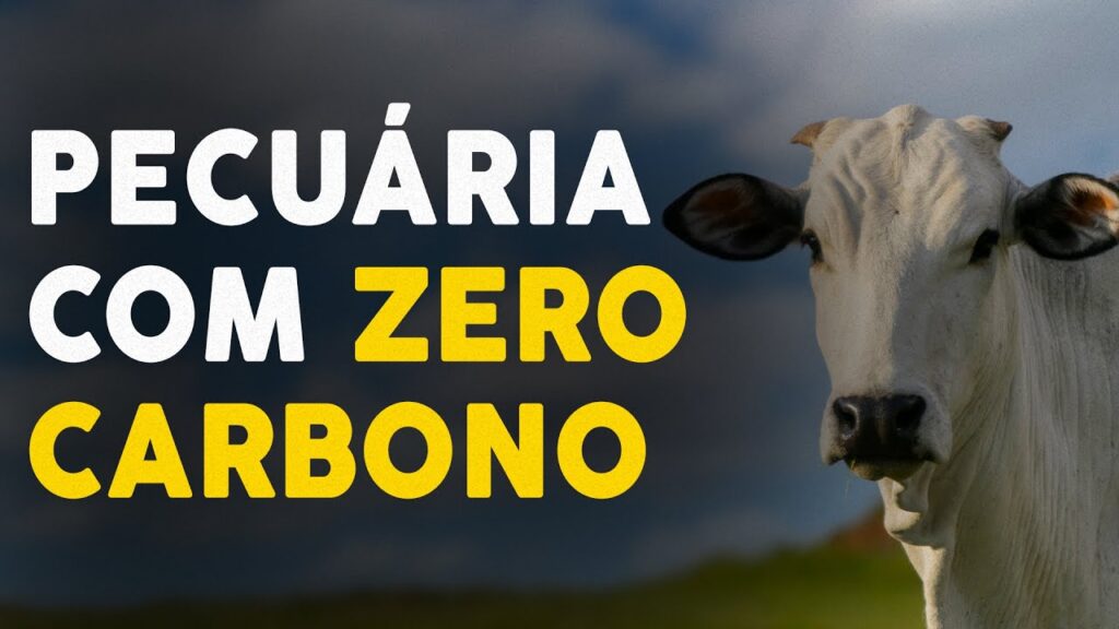 Pecuária sustentável: baixa emissão de carbono 2 pecuaria sustentavel baixa emissao de carbono