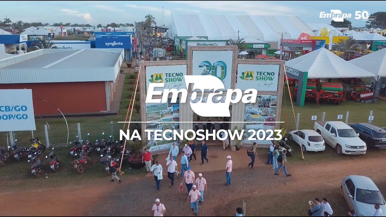 Plantar arroz sob pivô central em rotação com feijão, soja e milho dá certo?