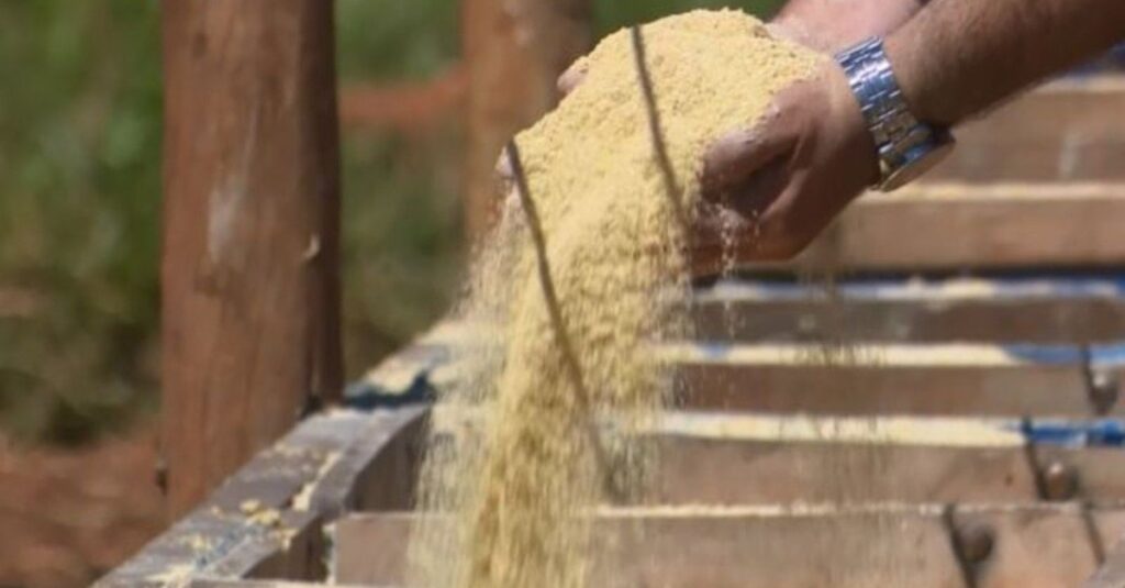 Monensina na recria bovina: saiba usar o aditivo com maior eficiência