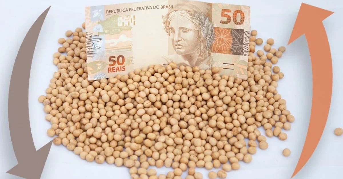 Preços da soja: Brasil x Chicago hoje 10 Confira os preços da soja no Brasil e em Chicago nesta terça