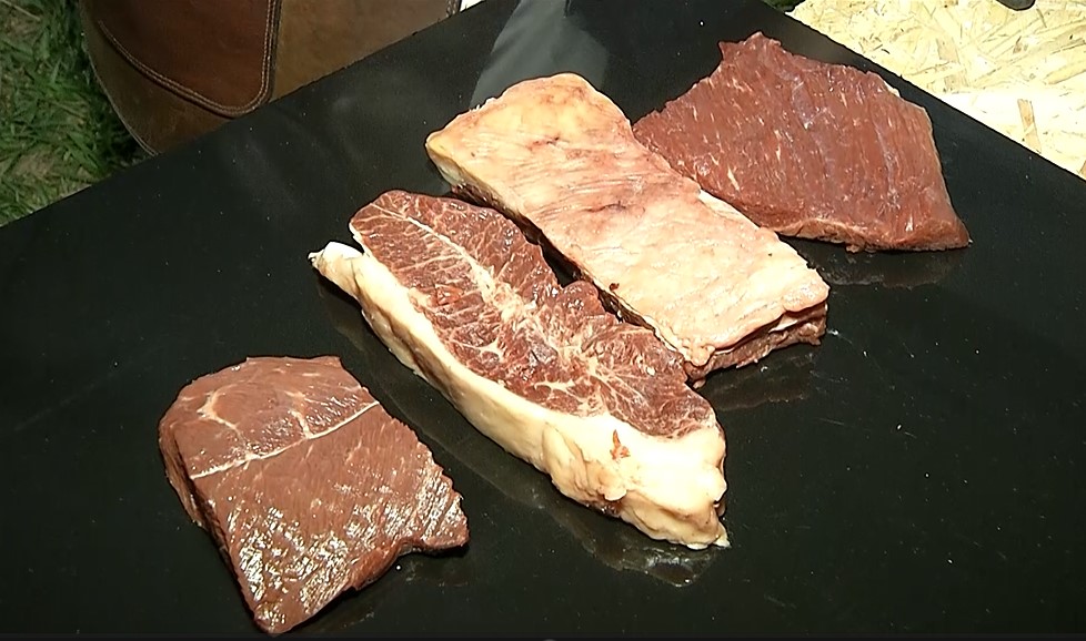 Preços do boi devem depender da oferta neste ano, diz o Cepea - SBA1