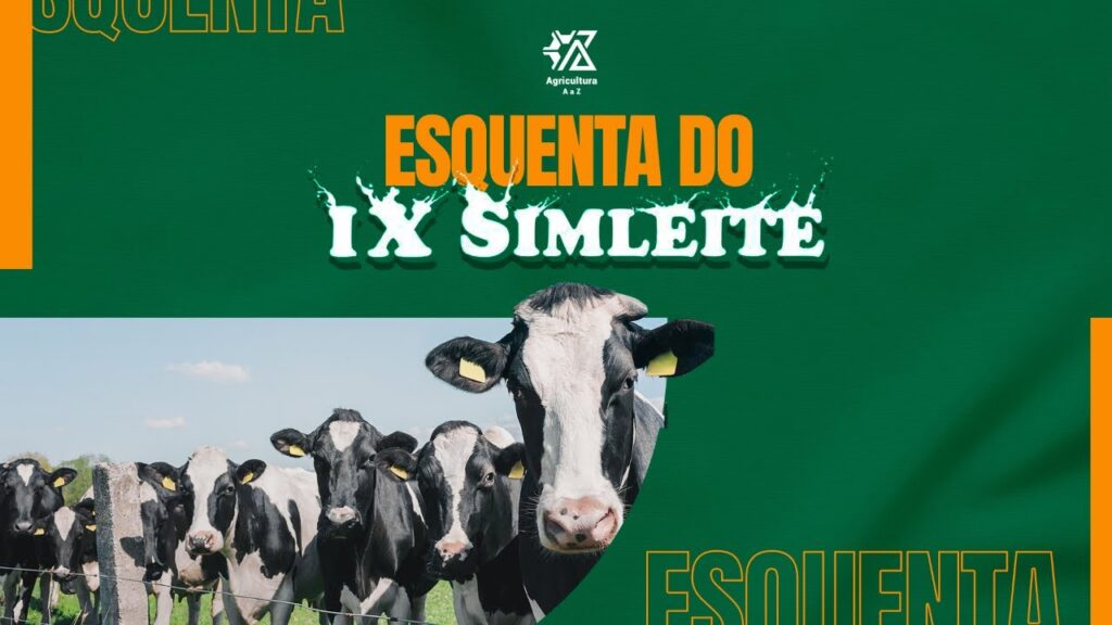 preparacao para o simleite bate papo