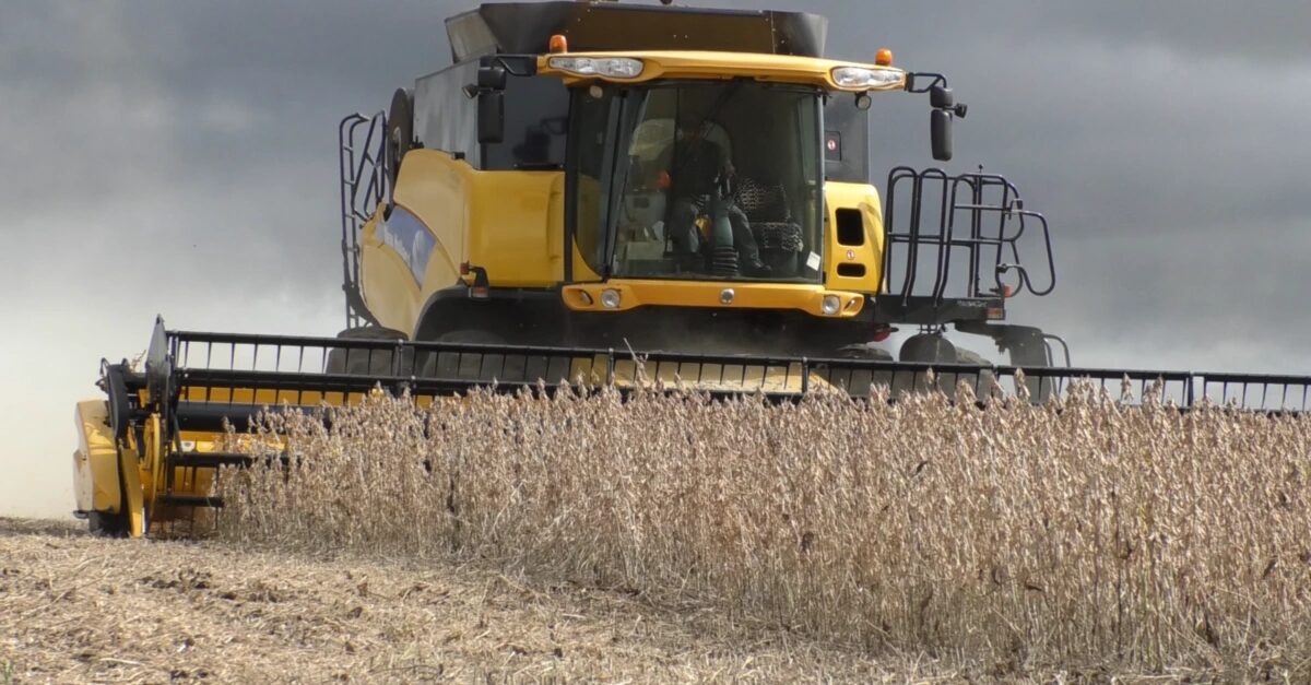 Condições climáticas levam à redução da previsão de safra de verão paranaense