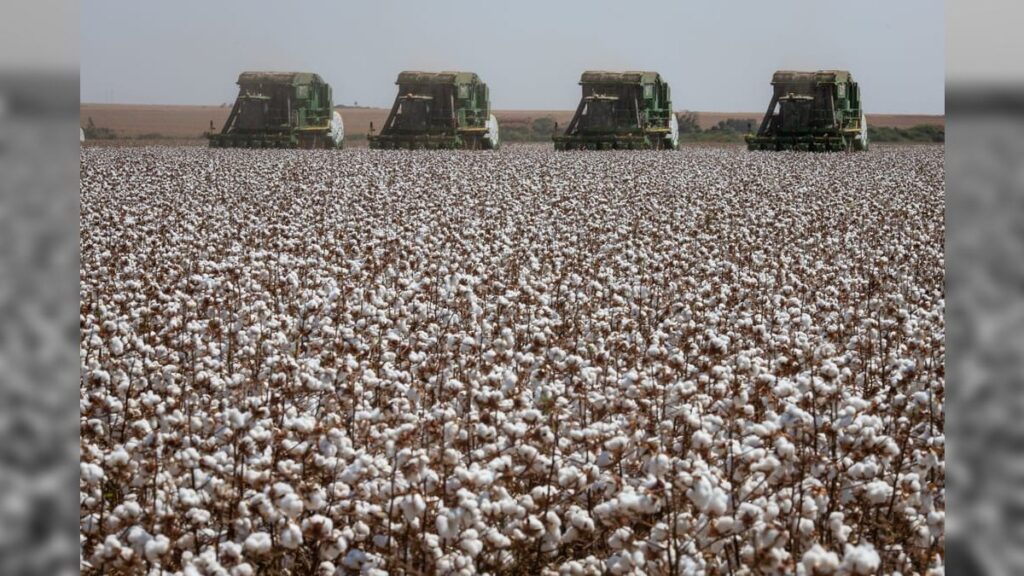 Produção agropecuária chegará a R$1,166 tri em 2024. 3 Valor Bruto da Produção Agropecuária deve chegar a R$ 1,166 trilhão em 2024