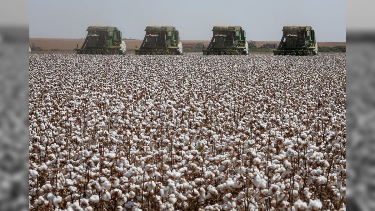 Produção agropecuária chegará a R$1,166 tri em 2024.