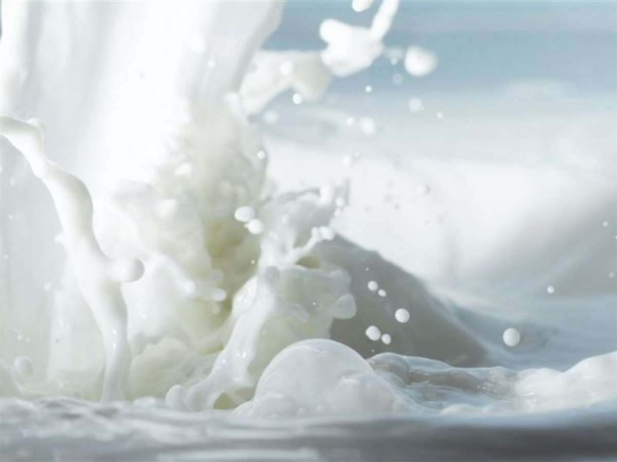 producao de leite em baixa 1