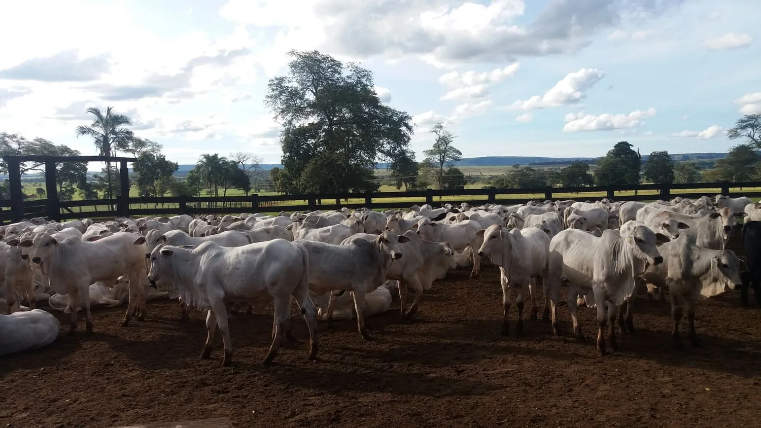 Produção de Qualidade: Entenda e Aprenda 14 o que é e como produzir com qualidade?