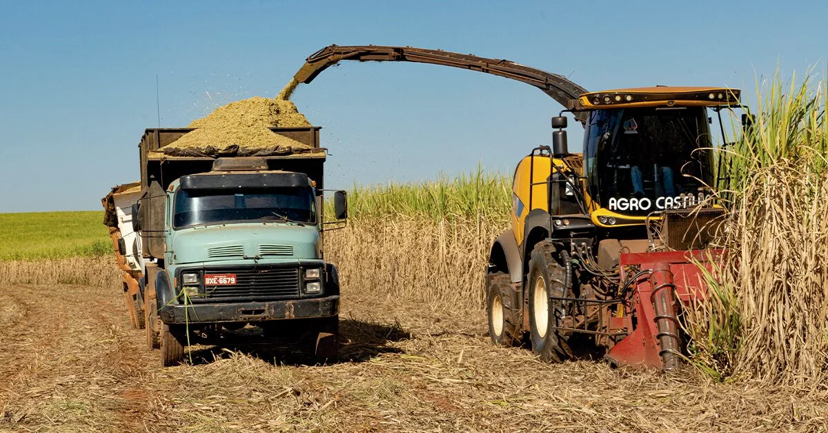 Produção paulista cresce 1,43% em novembro 12 Produtor paulista recebeu 1,43% mais em novembro ante outubro, mostra IEA • Portal DBO