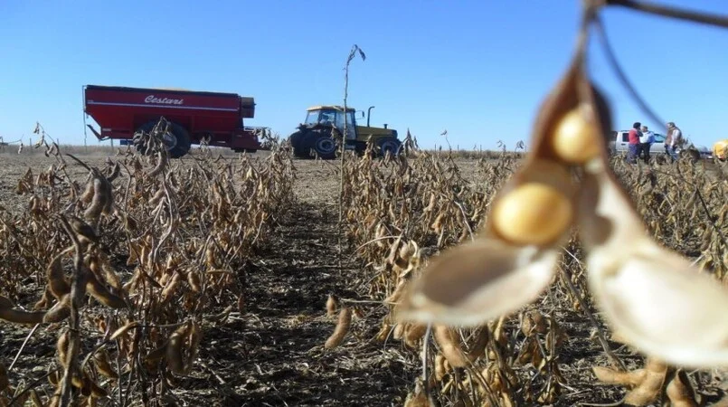 Produtores enfrentam desafio financeiro. 9 Produtores podem não conseguir “fechar a conta” no fim da safra
