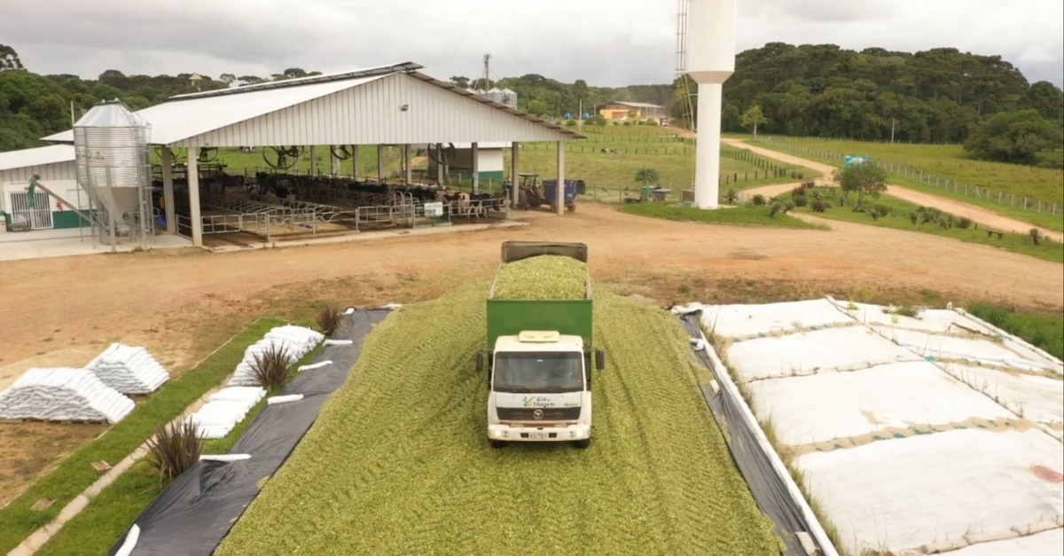 Pronto para preparar a silagem?