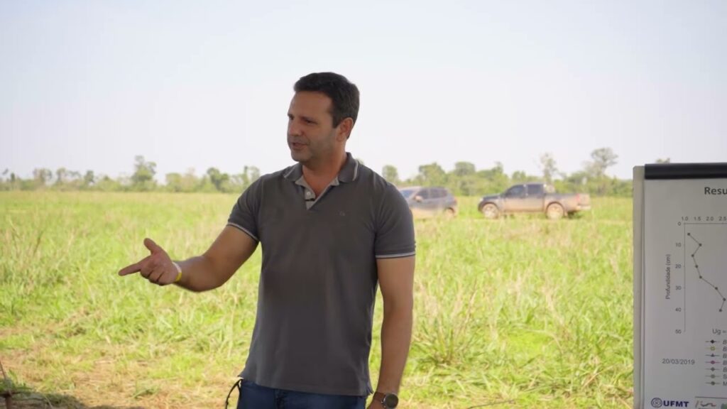 propriedades quimicas e fisicas do solo em ilp