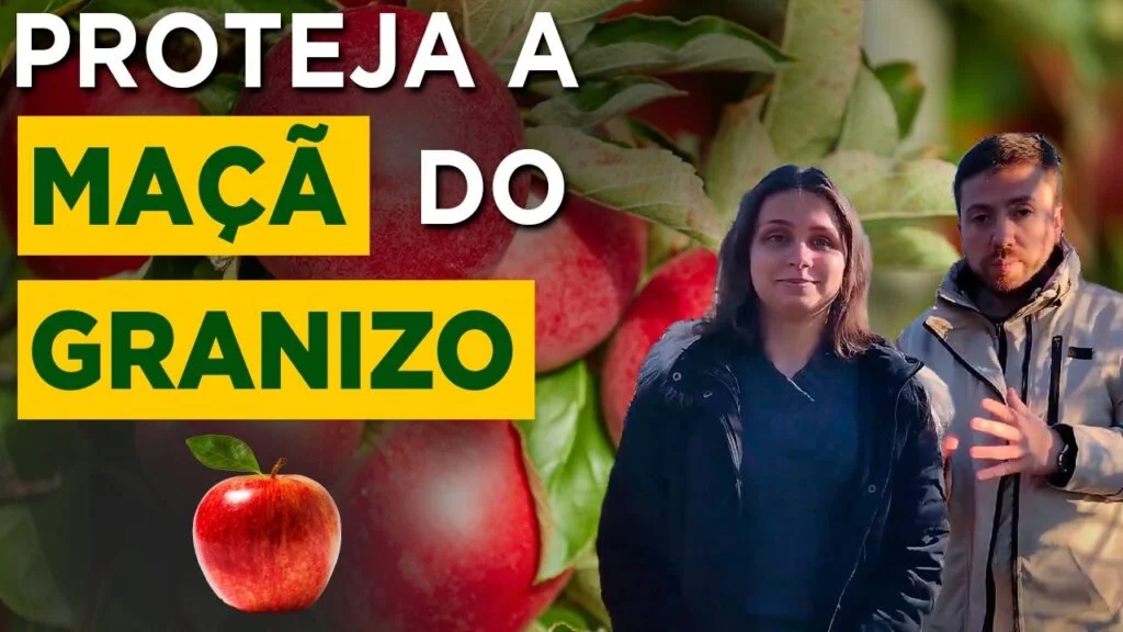 "Proteção contra Granizo para Pomares de Maçã" - Leonardo Soldatelli e Fabiana Wundrak 1 protecao contra granizo para pomares de maca leonardo soldatelli e fabiana wundrak
