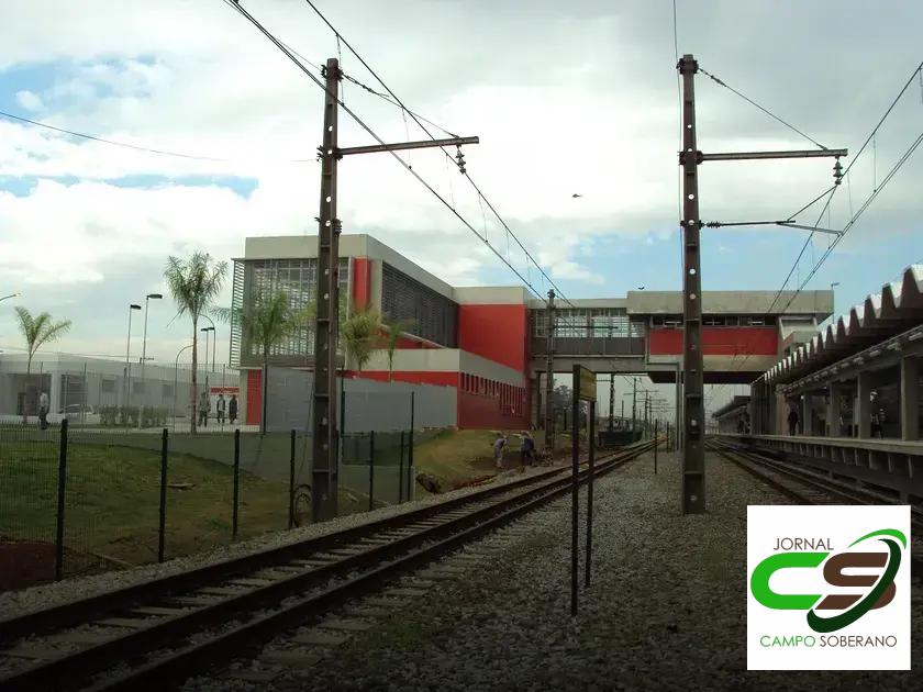 Qualidade e Frescor nos Produtos com a Entrega CEASA