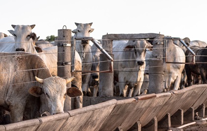 Queda surpreendente em janeiro.