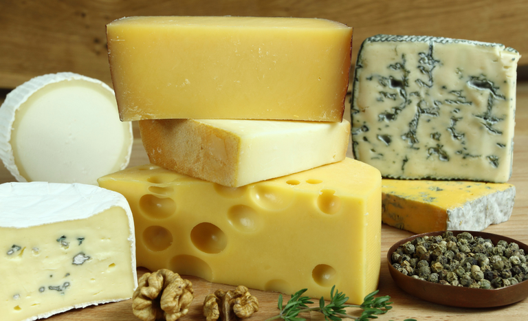 queijos brasileiros sucesso mundial 1