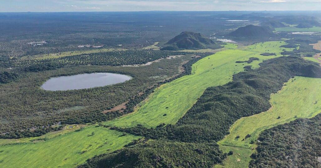 Encontro em Amparo foca promoção de biodiversidade em projetos de reflorestamento • Portal DBO