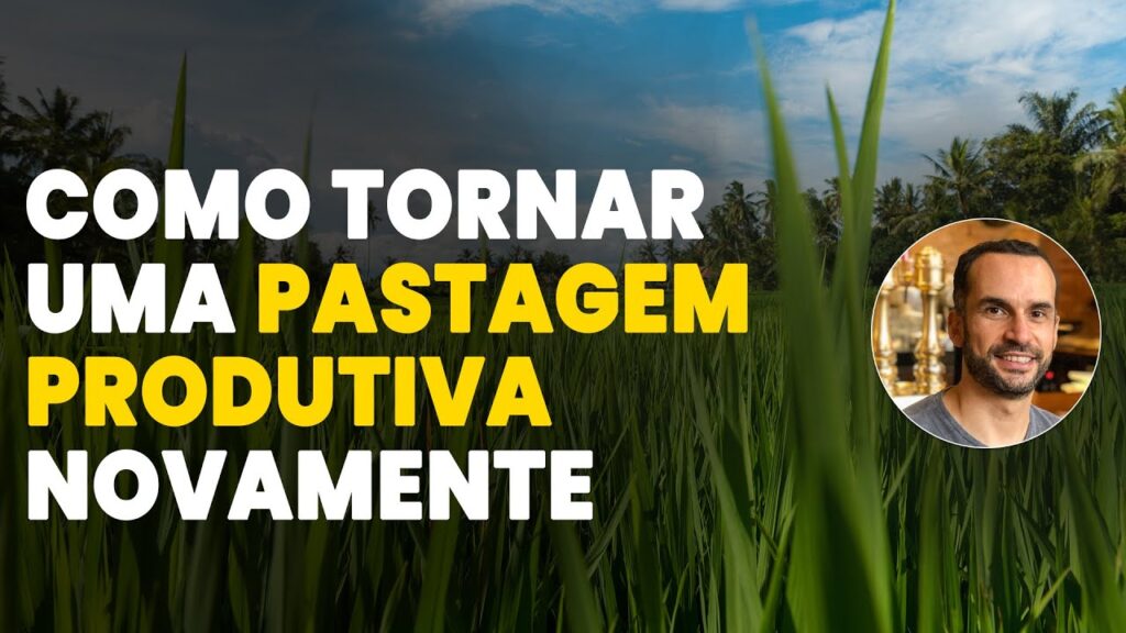 restaure sua pastagem agora