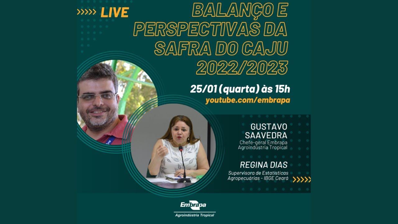 safra do caju 2022 2023 balanco e perspectivas