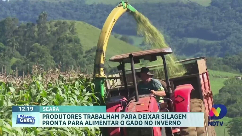 Seara reinventa produção de silagem! 4 Desafio Agrícola: Seara Reinicia Produção de Silagem