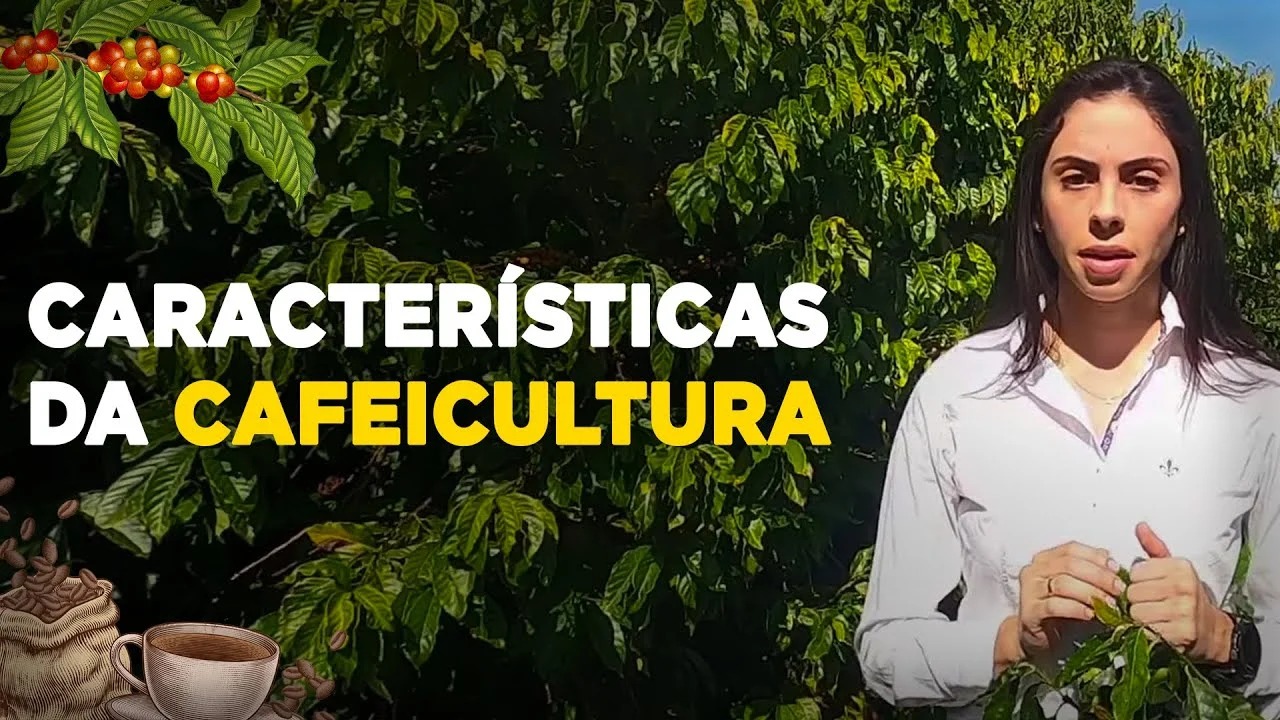 segredos da cafeicultura