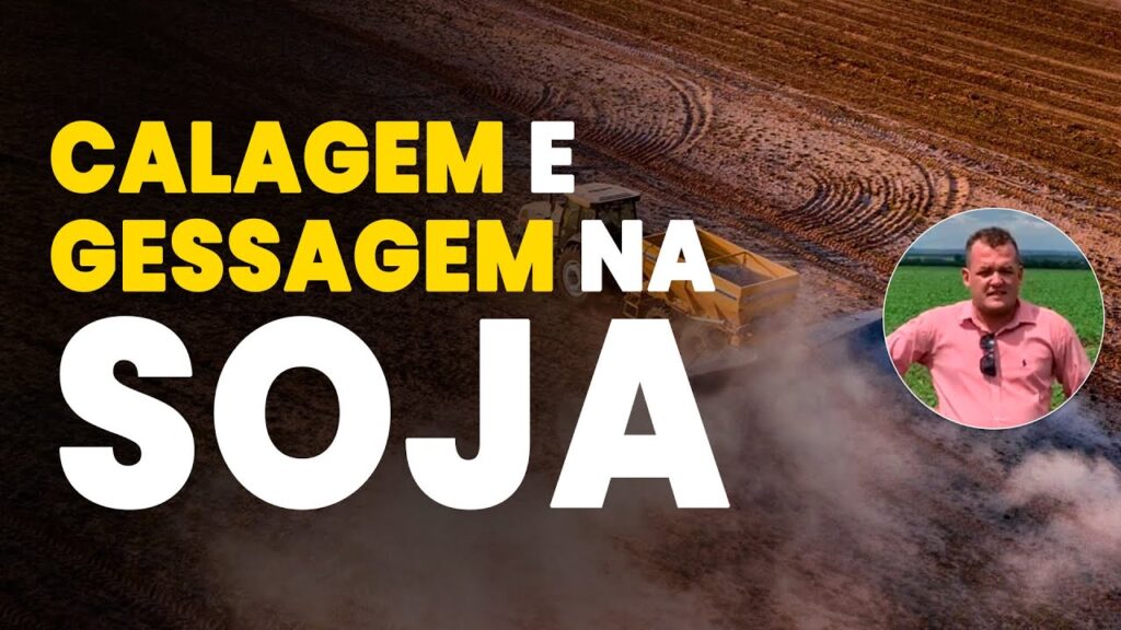 segredos da calagem e gessagem na soja