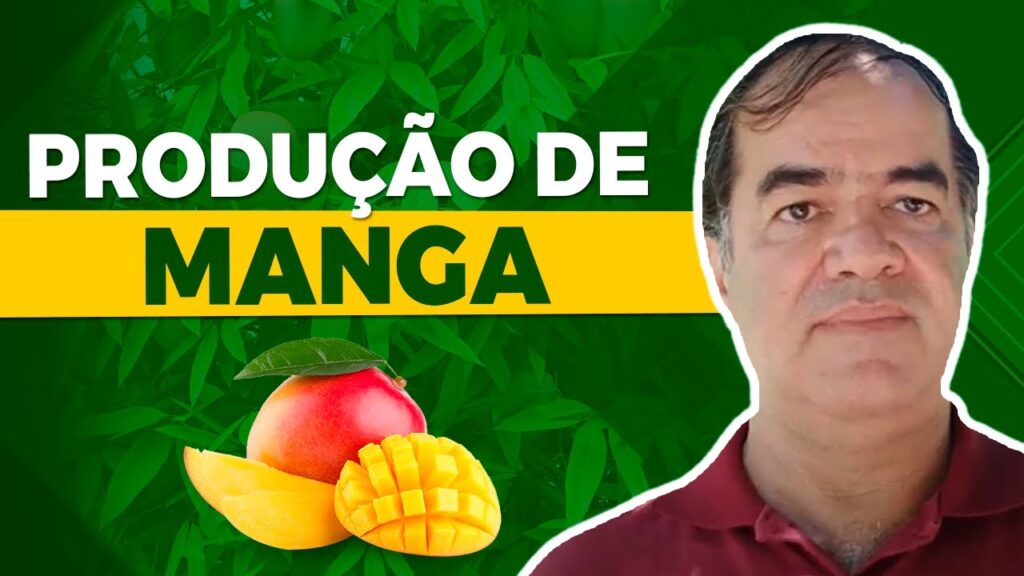 segredos da producao de manga vander mendonca